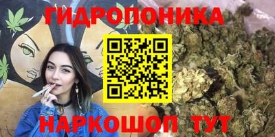 mdpv Моздок