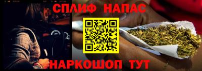 гидропоника Можга