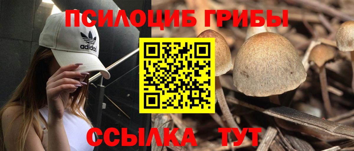 Галлюциногенные грибы Psilocybine cubensis  Вход с VPN  Псилоцибиновые грибы мицелий  купить   Ступино 